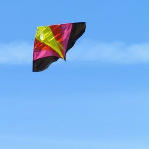 Meet your Posher, Ashton